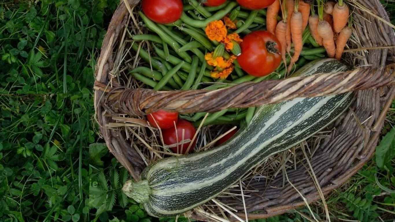 Sustainability7-e1633520565681-1920×1080-fp_mb-fpoff_0_0