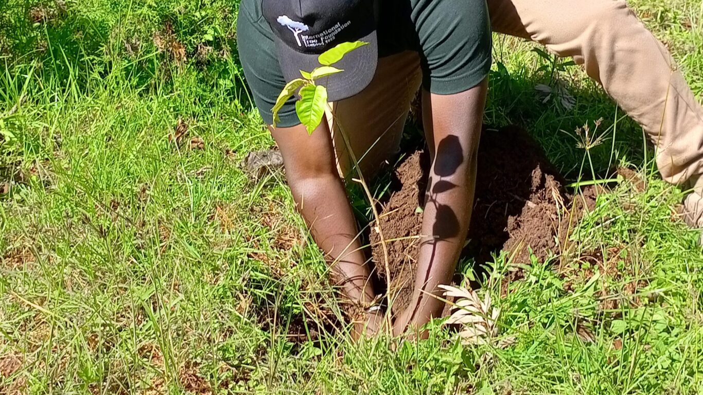 edwin planting – globe gone green